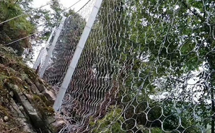 RXI-150被动防护网